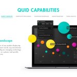 Software Company Websites: Quid Capabilities.