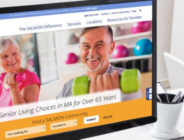 The SALMON Health and Retirement website redesign project plan from 3 Media Web.