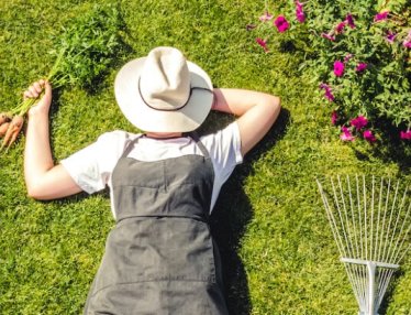 Content marketing is just like gardening.