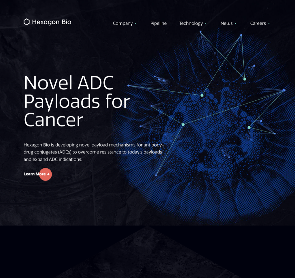 Hexagon Bio homepage stating Novel ADC Payloads for Cancer with concise, precise positioning