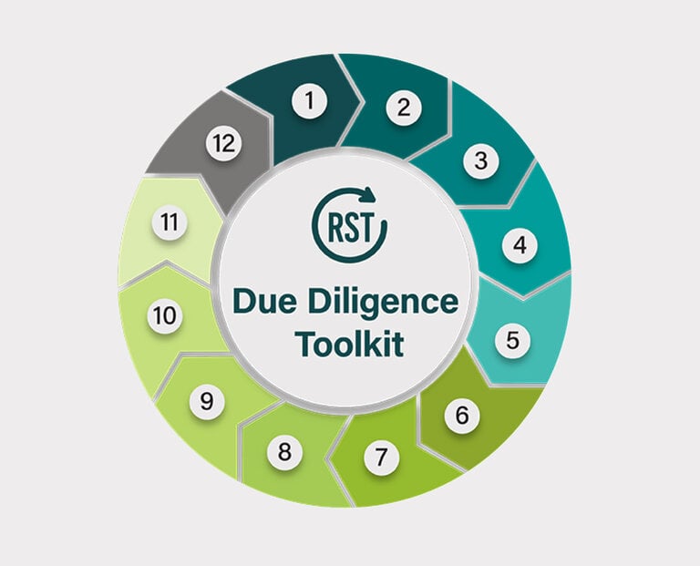 RST Due Diligence Toolkit circular diagram of 12 numbered steps