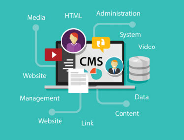 Marketing manager planning a CMS migration from Ektron to WordPress at a laptop.