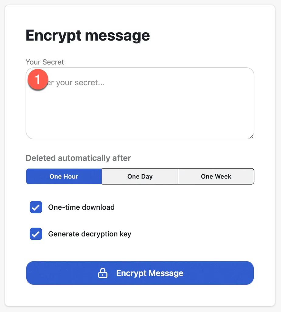 Secure message form with a secret text box and one-time download settings