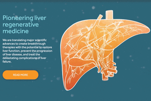 Ambys Medicines Homepage liver animation.