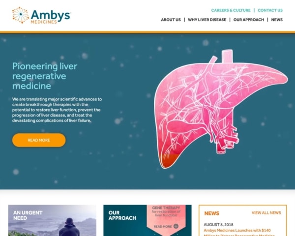 Biotech Web Design Example: Ambys Medicines Homepage.