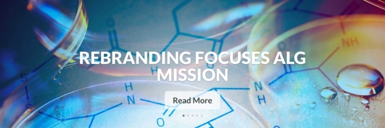Biotech Web Design Example: Analytical Lab Group.