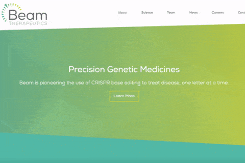 Biotech Web Design Example: Beam Therapeutics.