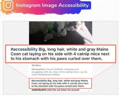 Instagram Image Accessibility & User Hashtags.