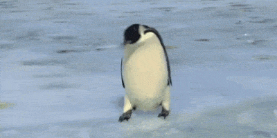 Penguin GIF falling through ice, saying #FAIL