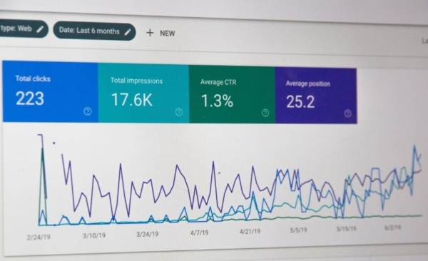 screenshot of seo audit data